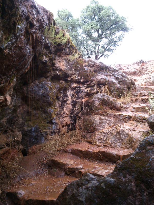 Cueva de Montesinos turismo activo
